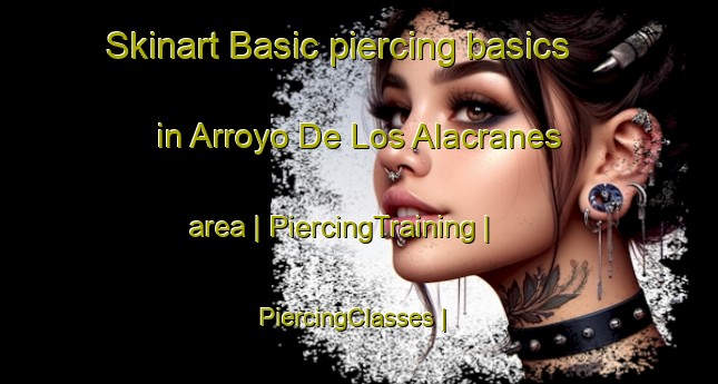 Skinart Basic piercing basics in Arroyo De Los Alacranes area | PiercingTraining | PiercingClasses | SkinartTraining-Mexico